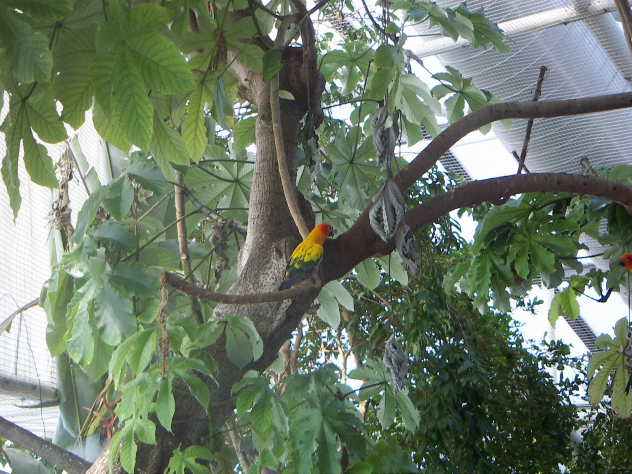 PICT0243.JPG
