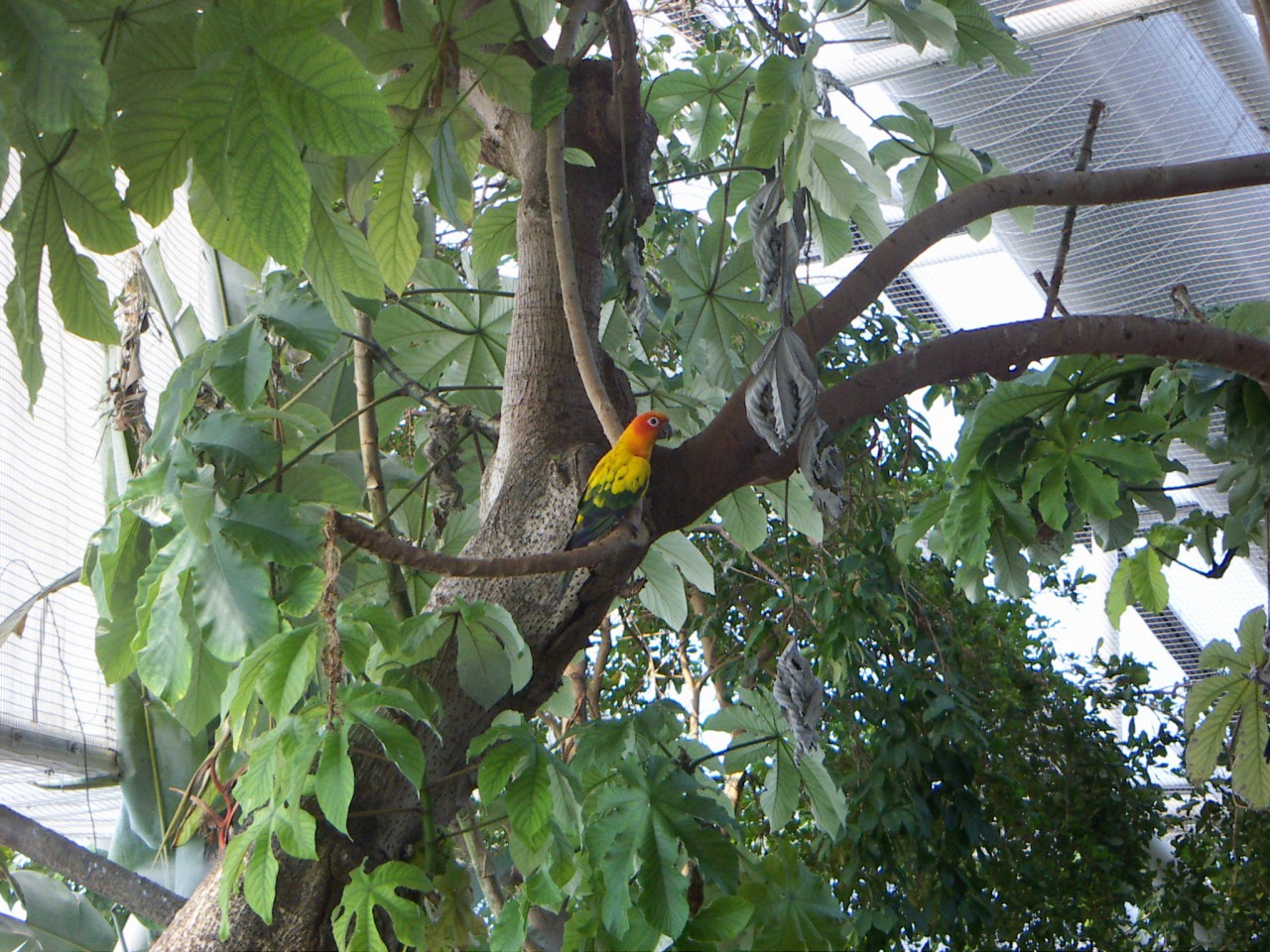 PICT0244.JPG