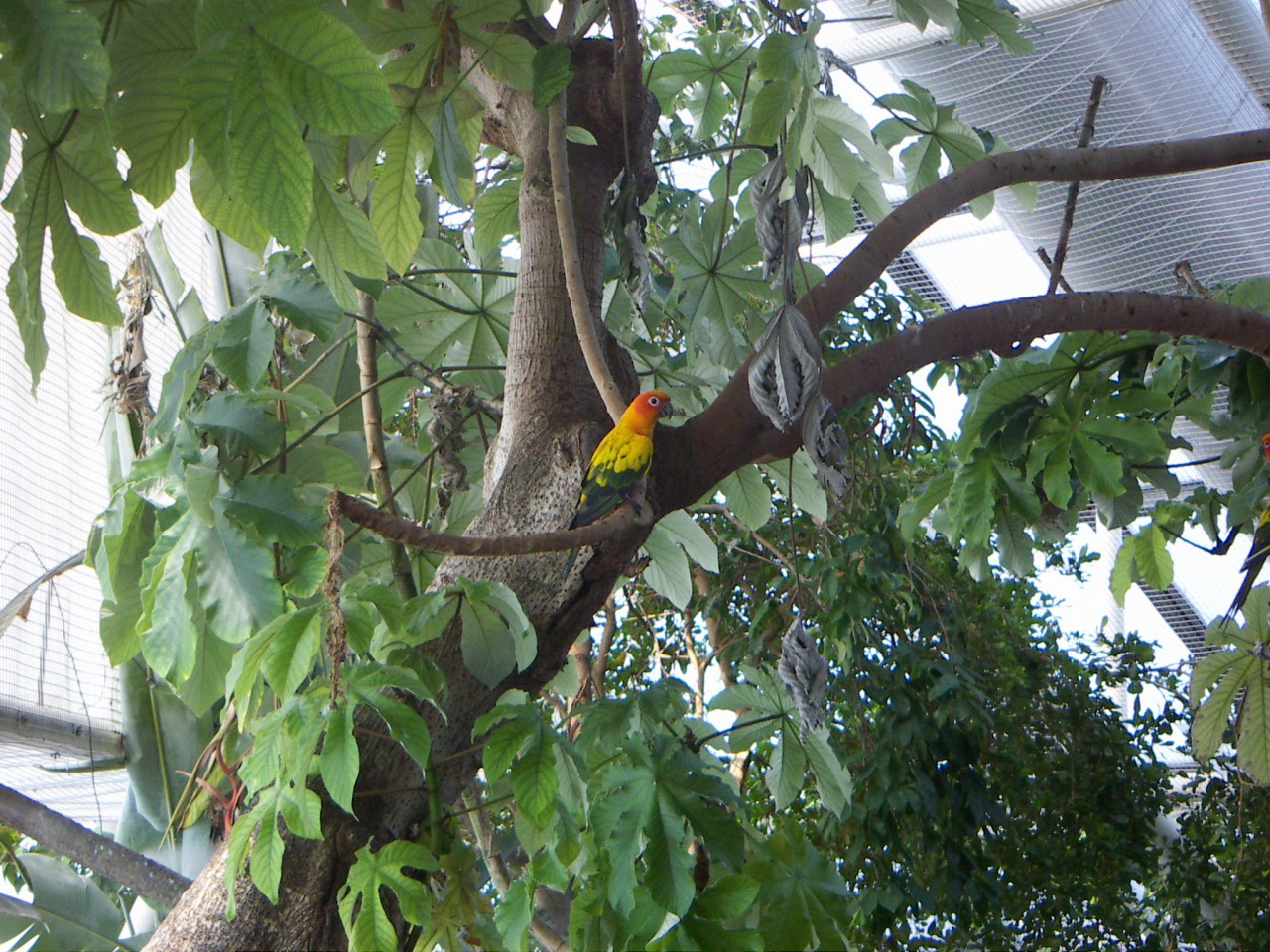 PICT0245.JPG