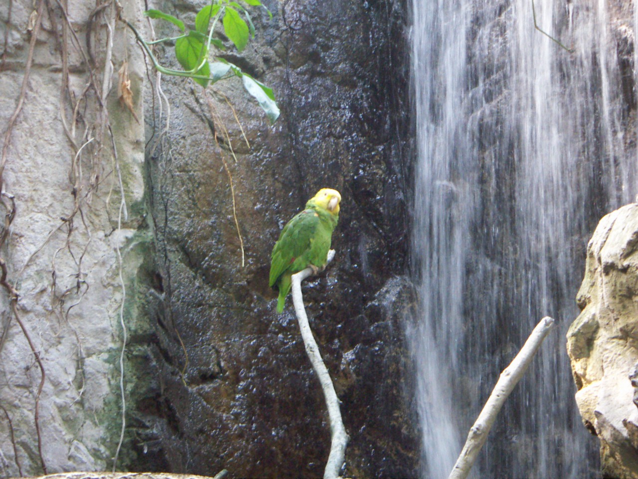PICT0251.JPG