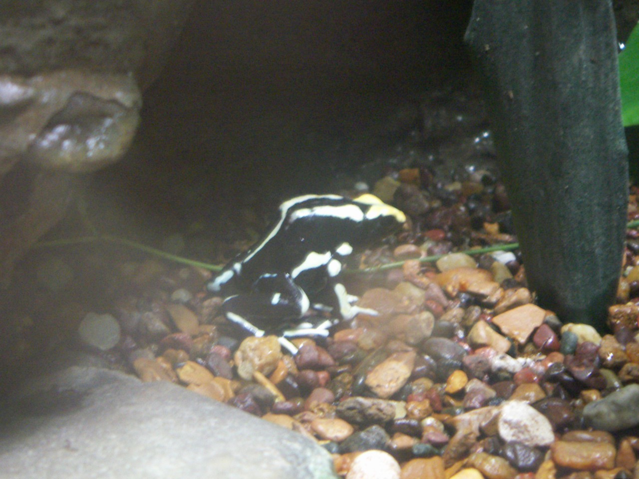 PICT0256.JPG