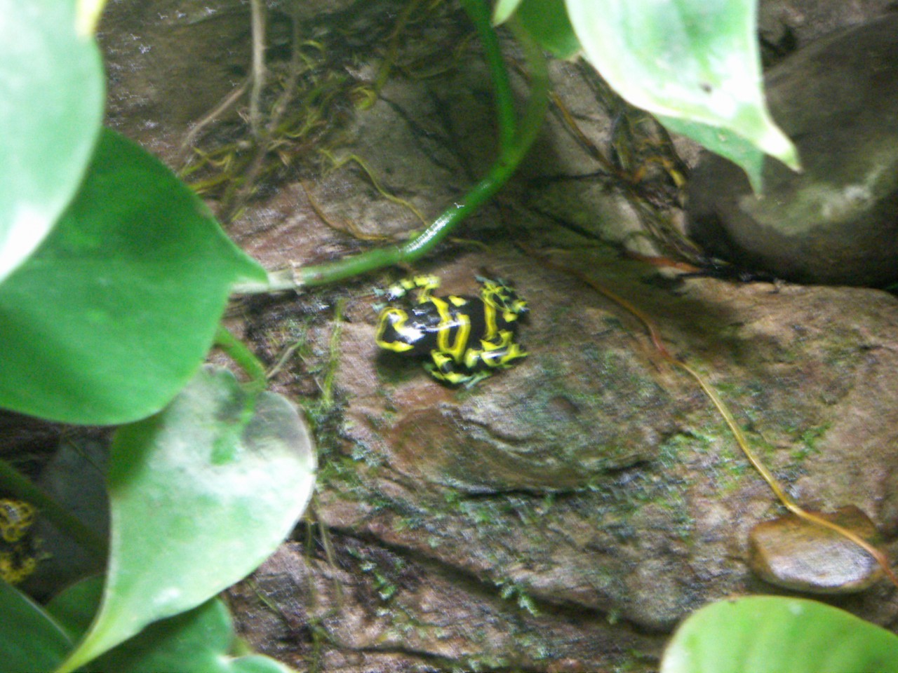PICT0262.JPG