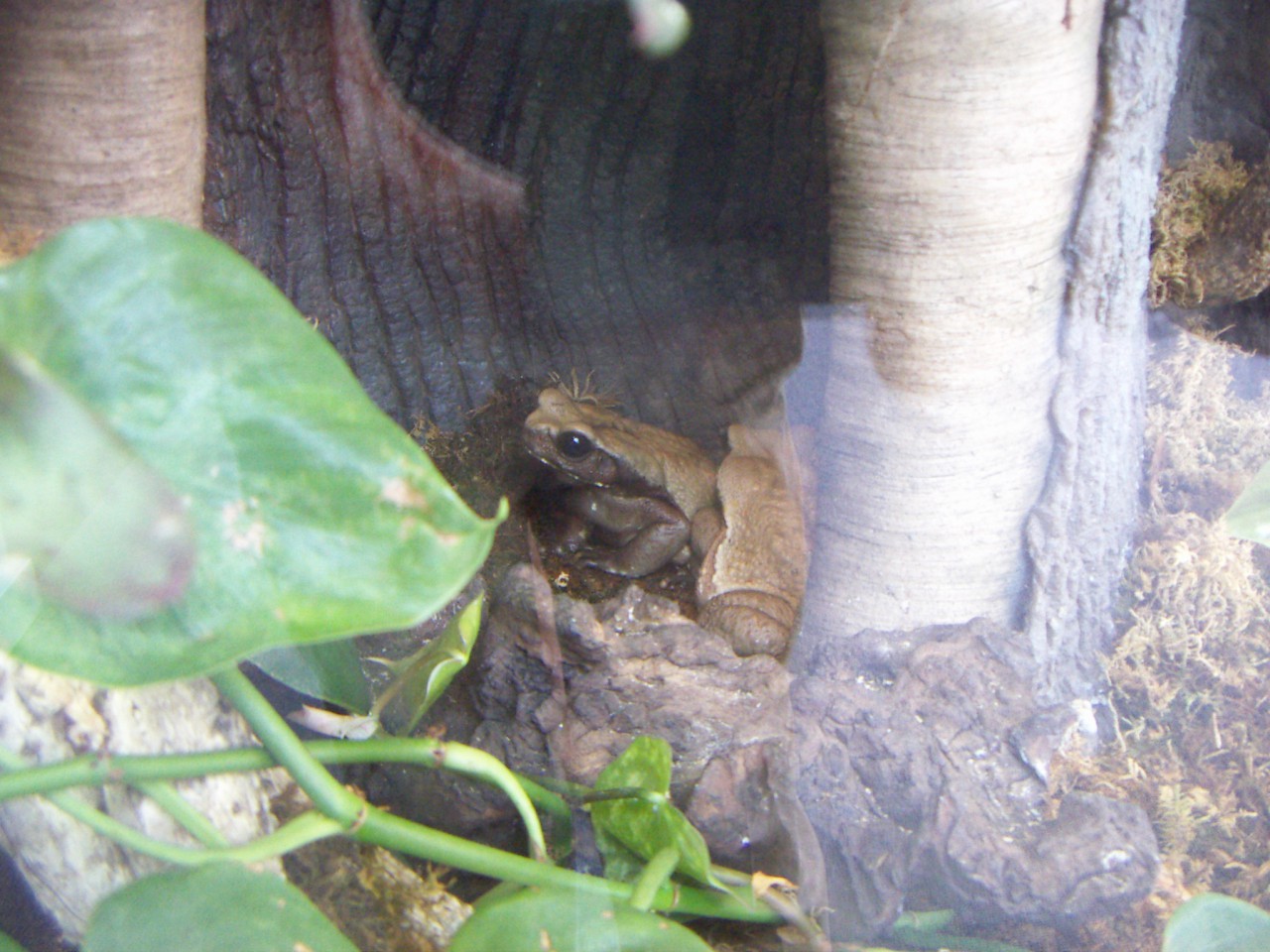 PICT0265.JPG