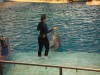 PICT0206.JPG