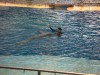 PICT0211.JPG