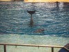 PICT0213.JPG