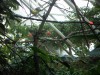 PICT0233.JPG
