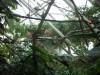PICT0234.JPG
