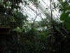 PICT0235.JPG