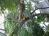 PICT0243.JPG