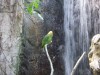 PICT0249.JPG