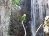 PICT0250.JPG