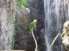 PICT0252.JPG