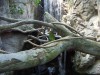 PICT0253.JPG