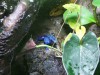 PICT0254.JPG