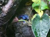 PICT0255.JPG