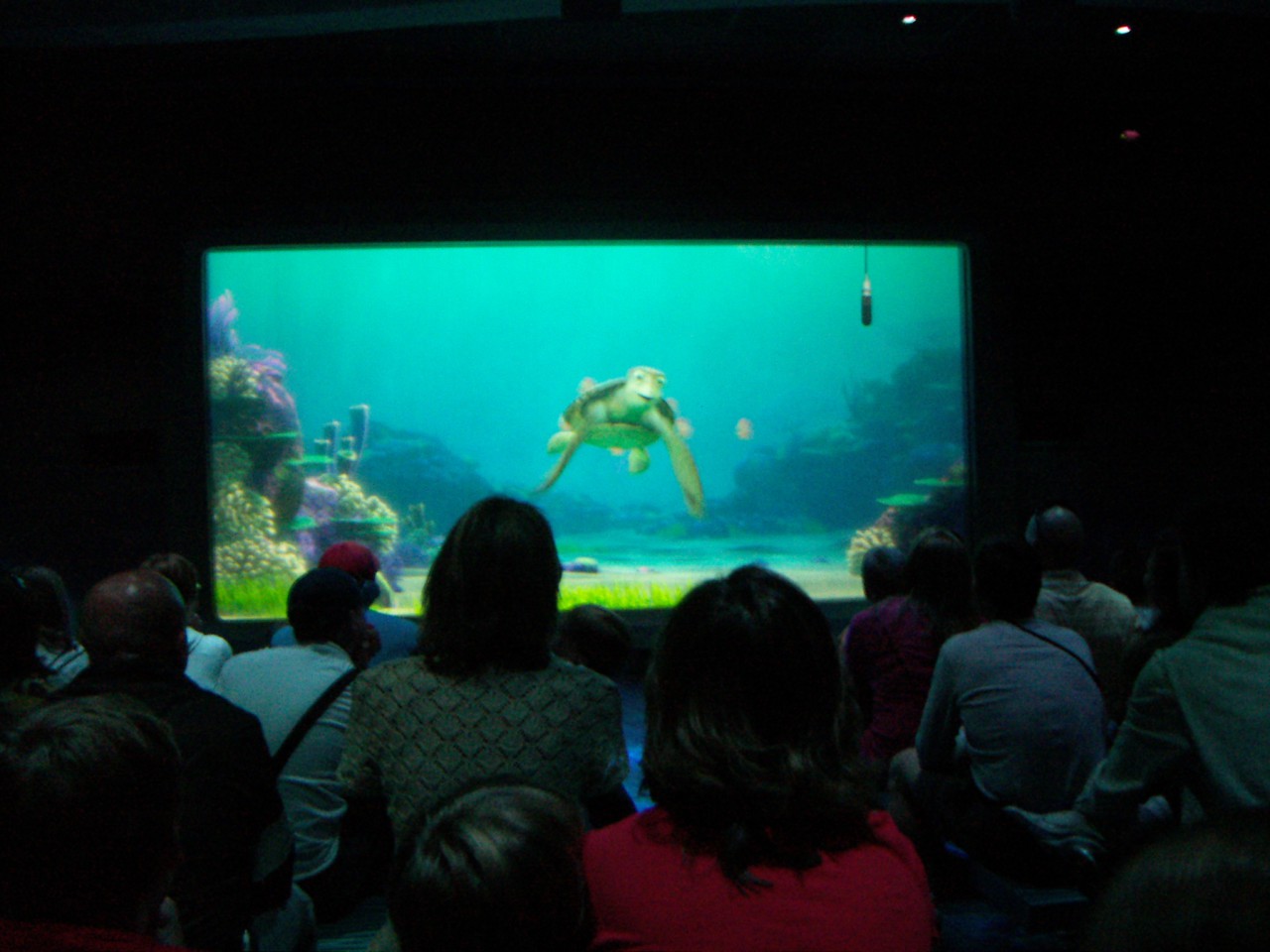 PICT0016.JPG