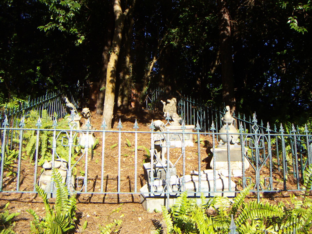 PICT0119.JPG