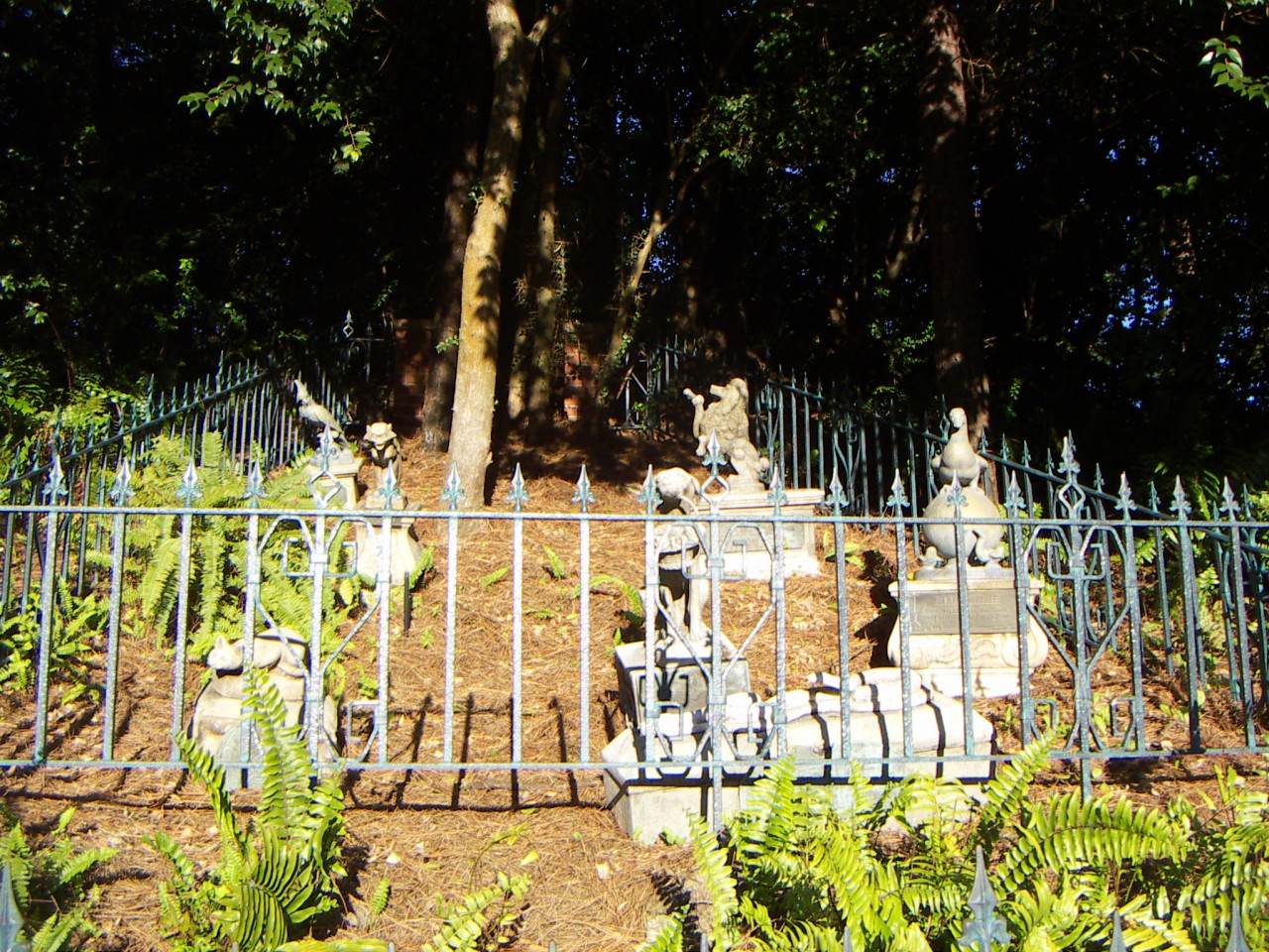 PICT0120.JPG