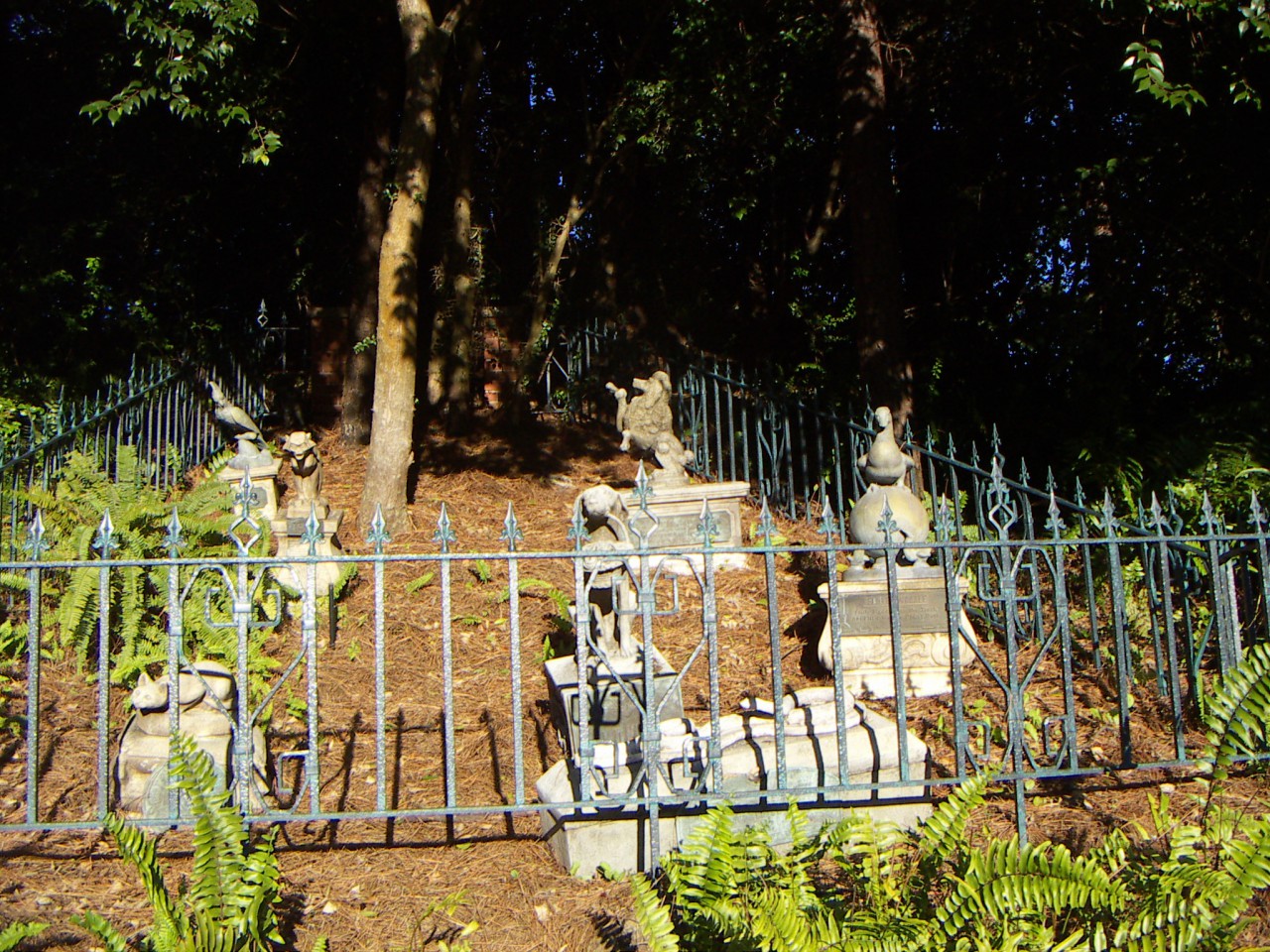PICT0121.JPG