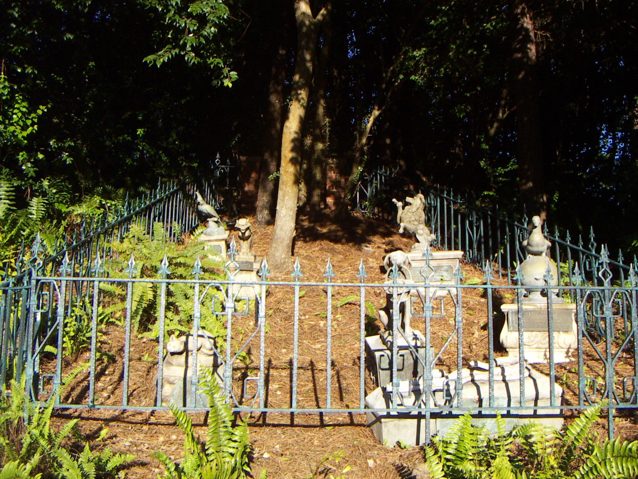 PICT0122.JPG