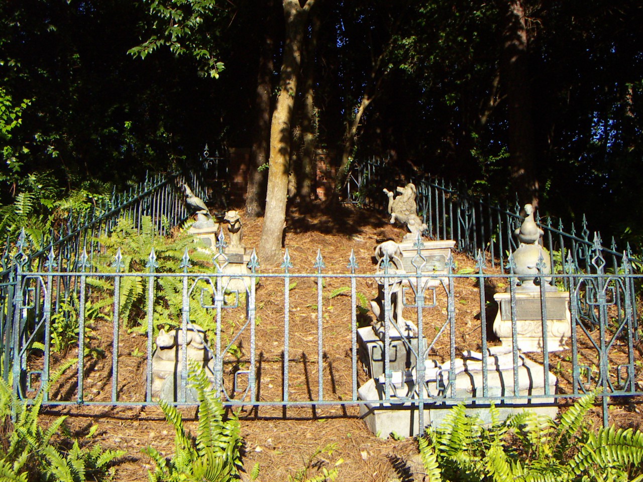 PICT0123.JPG
