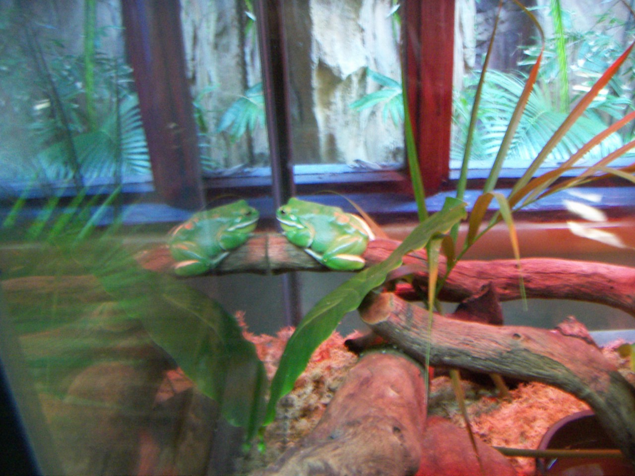 PICT0195.JPG