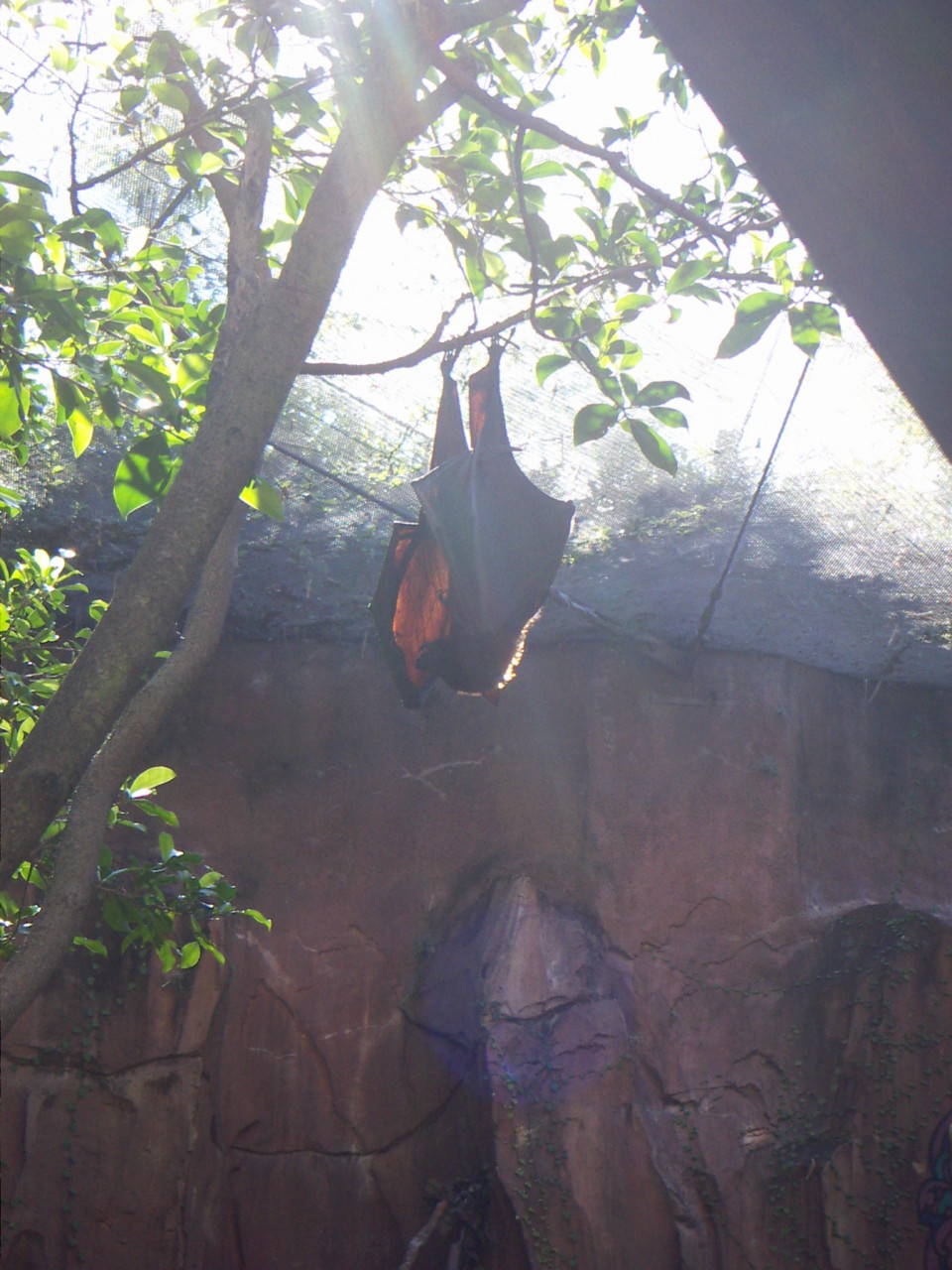 PICT0204.JPG