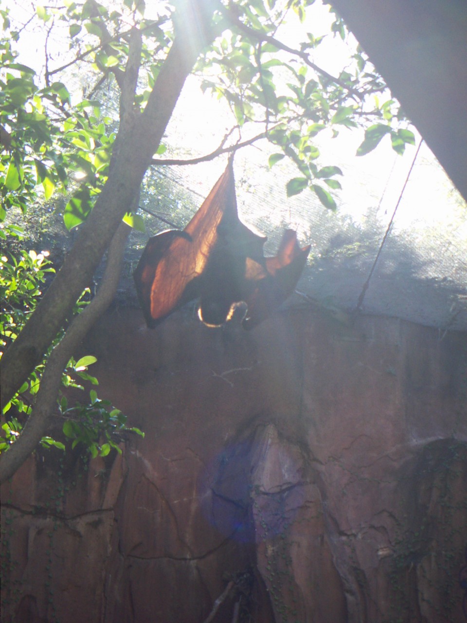 PICT0205.JPG