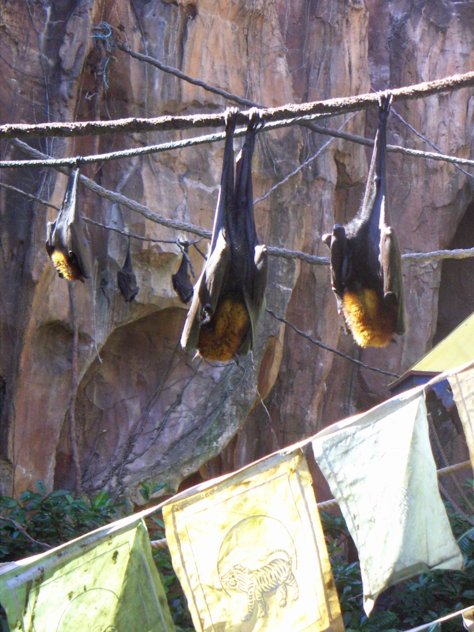 PICT0208.JPG