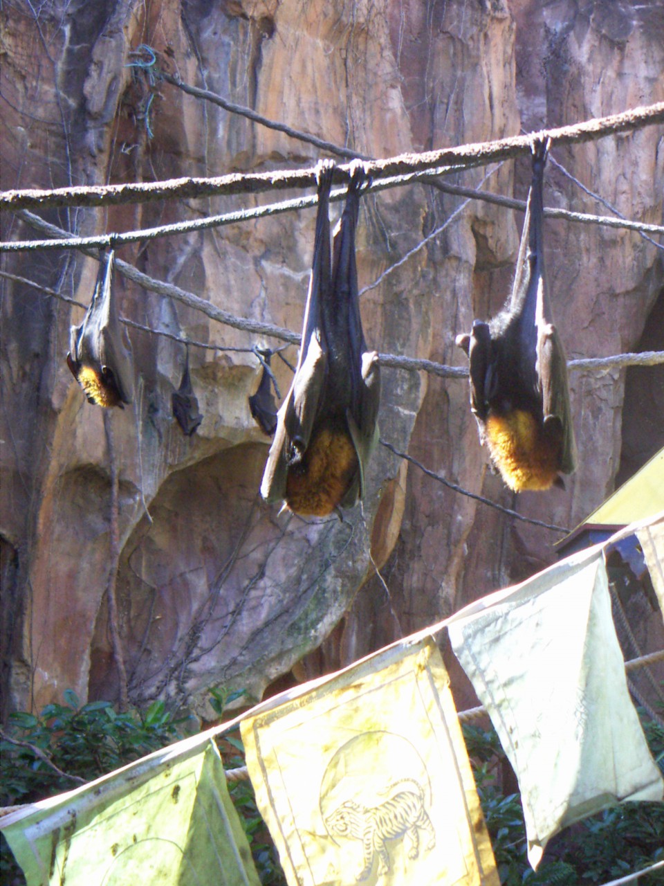 PICT0210.JPG
