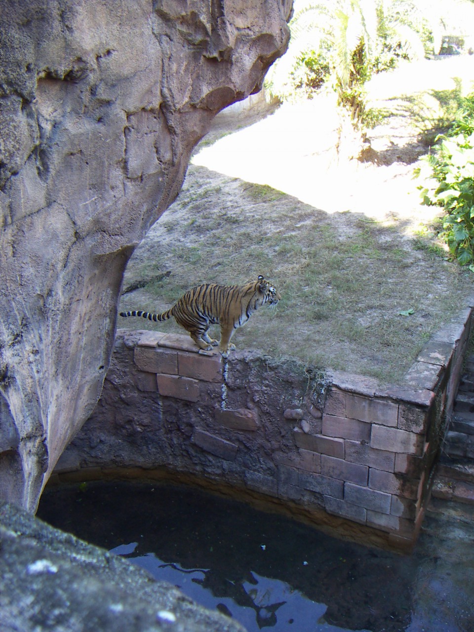 PICT0215.JPG