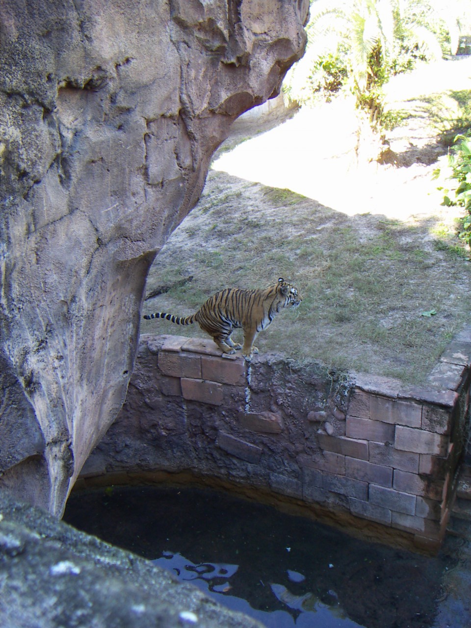 PICT0216.JPG