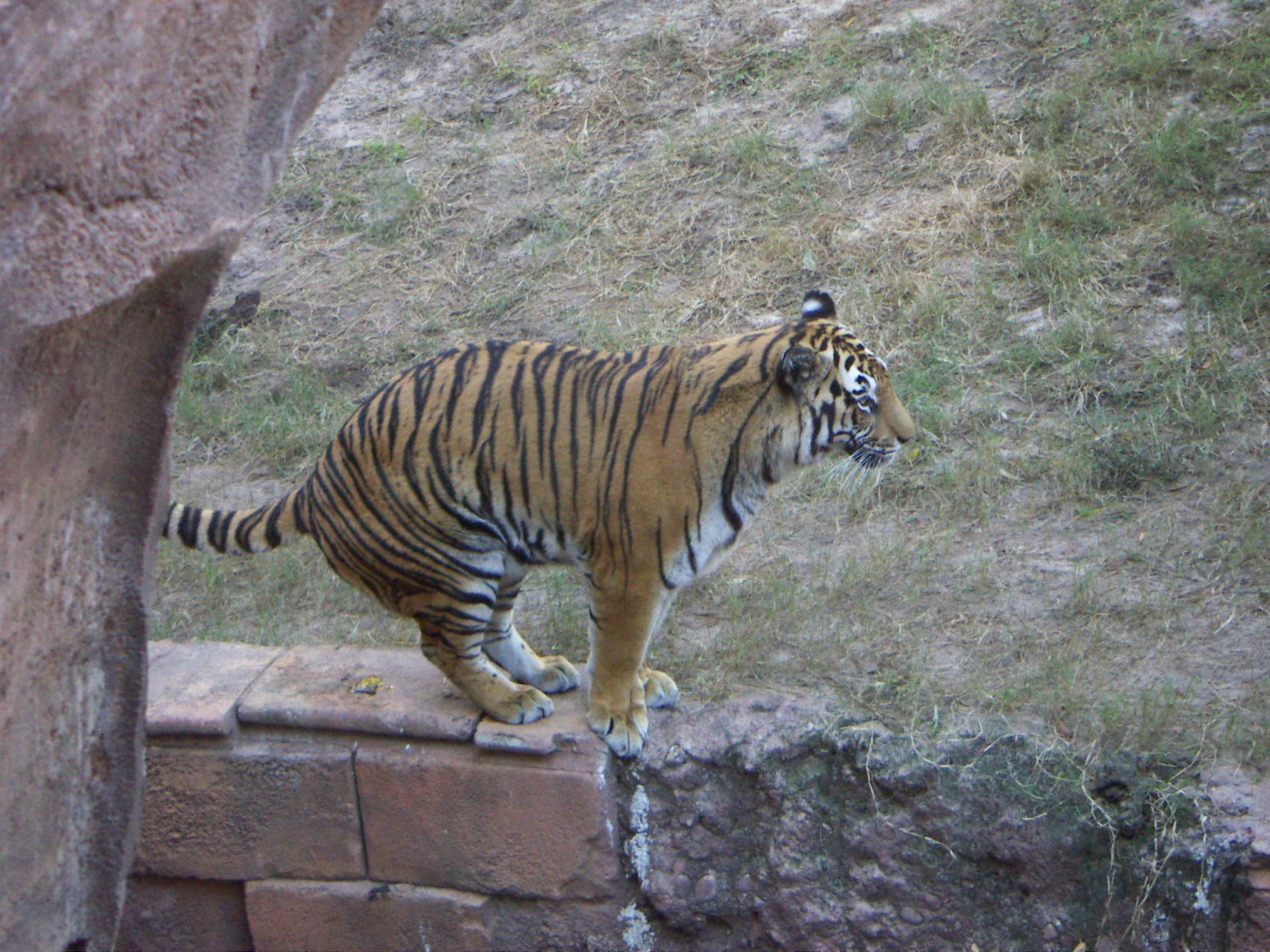 PICT0217.JPG