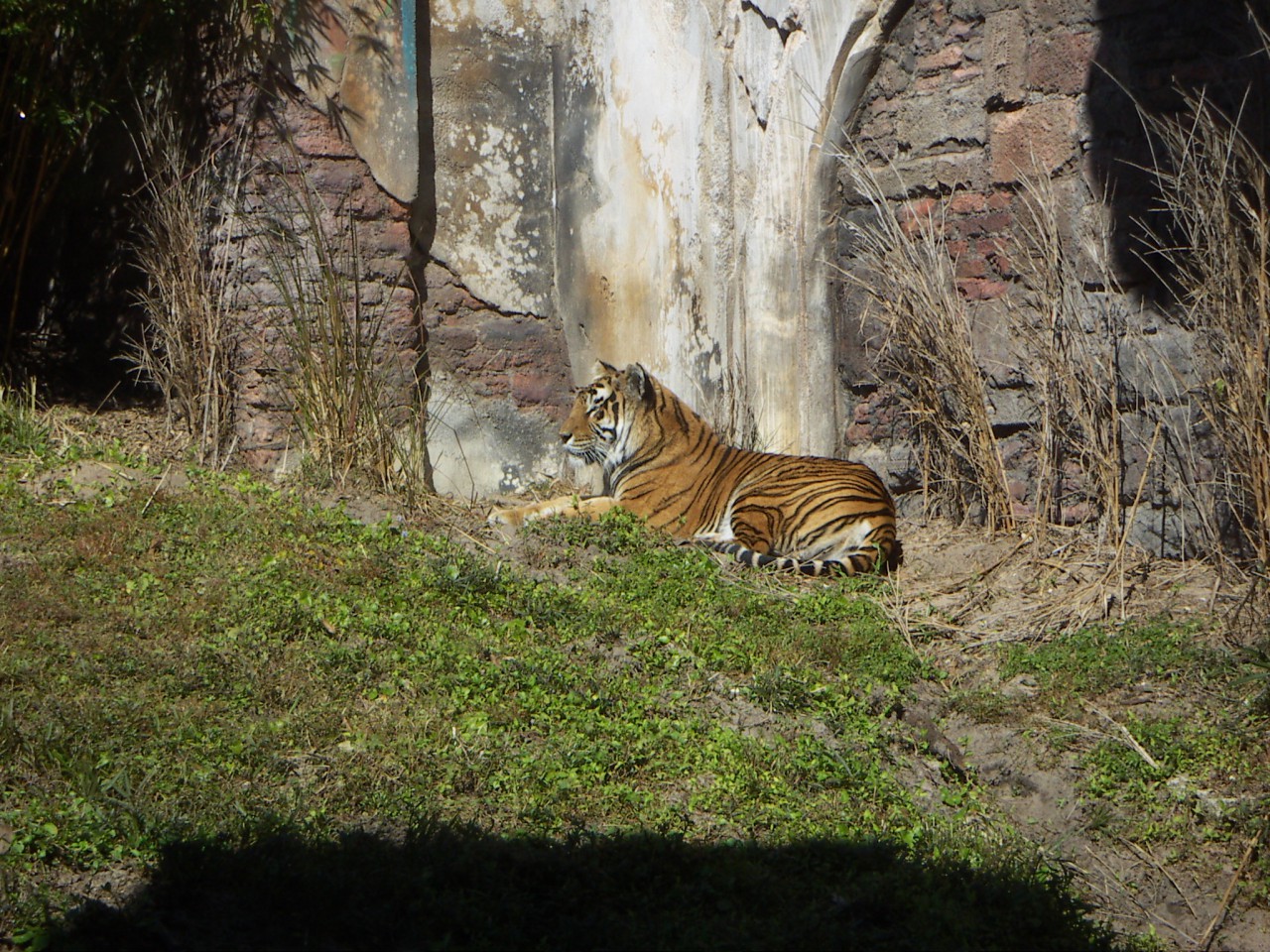 PICT0222.JPG