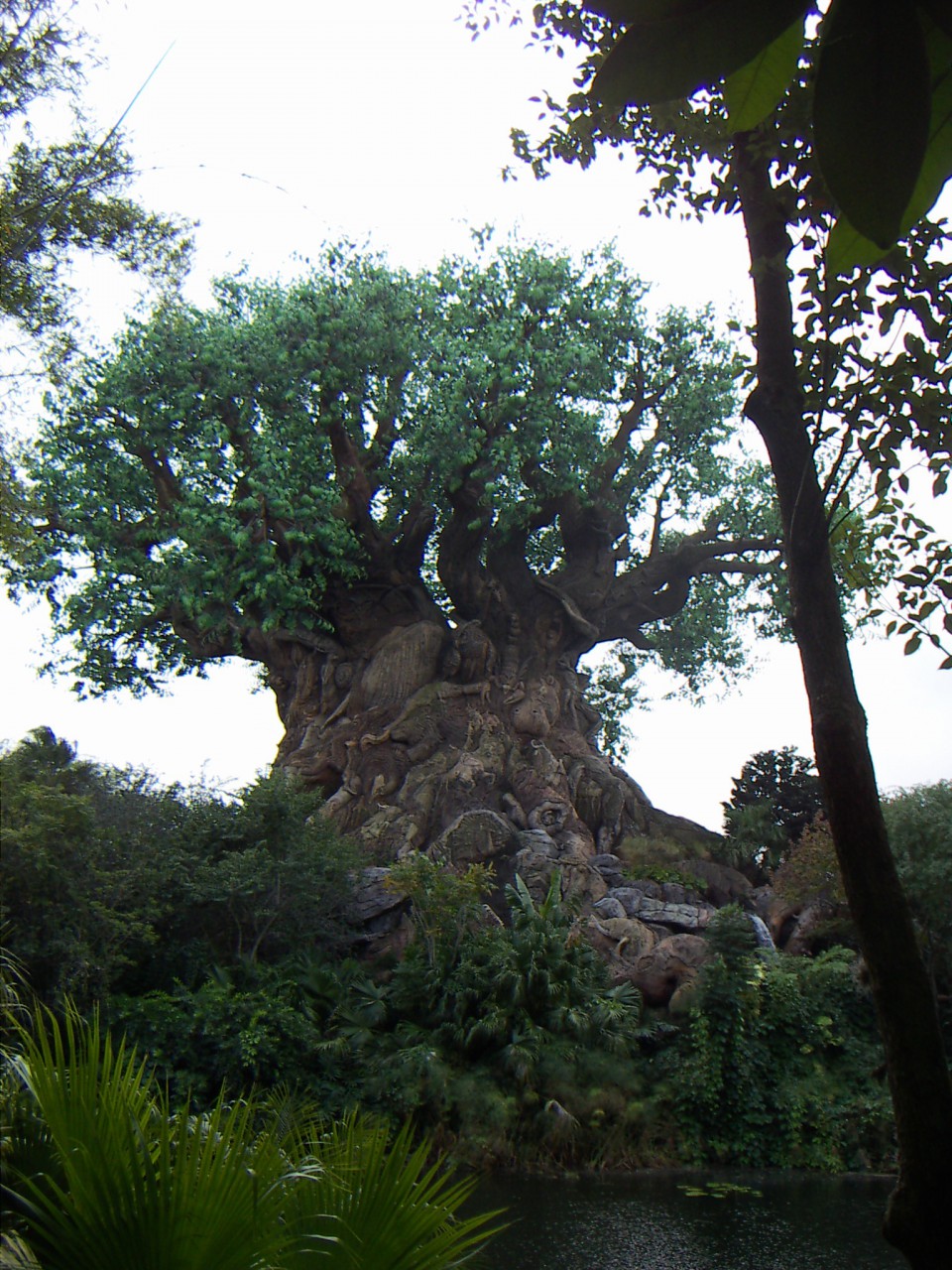 PICT0318.JPG
