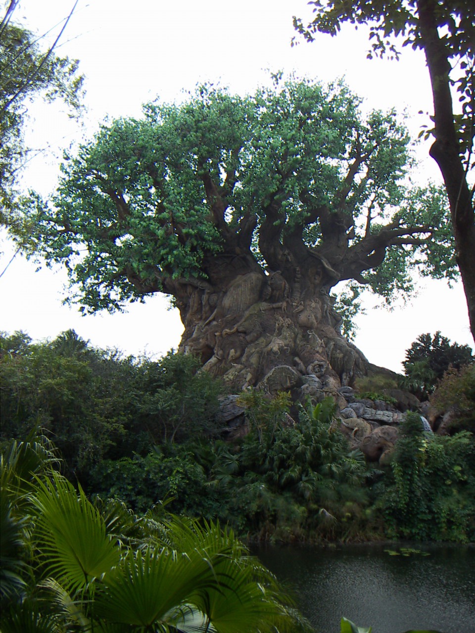 PICT0322.JPG