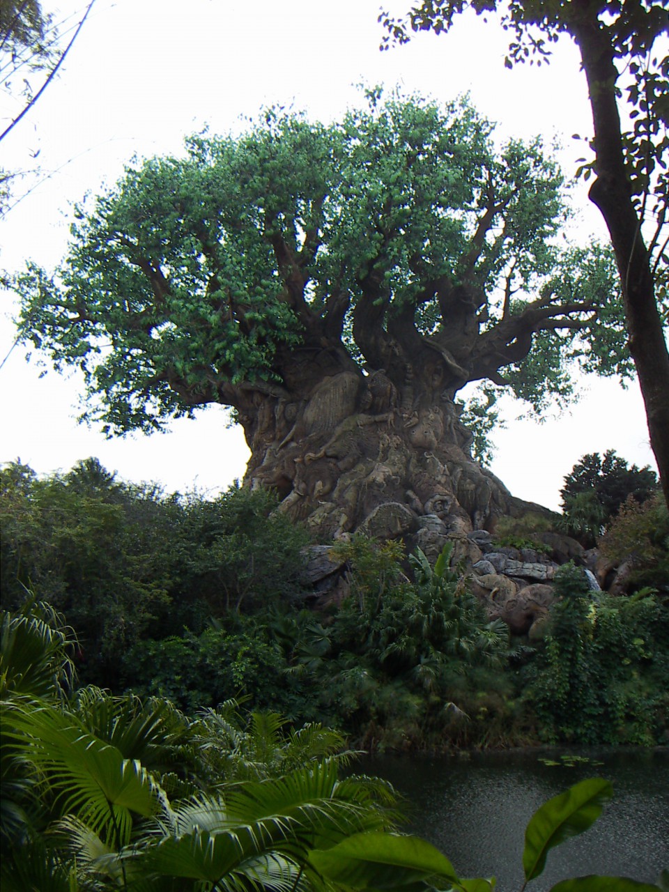 PICT0324.JPG