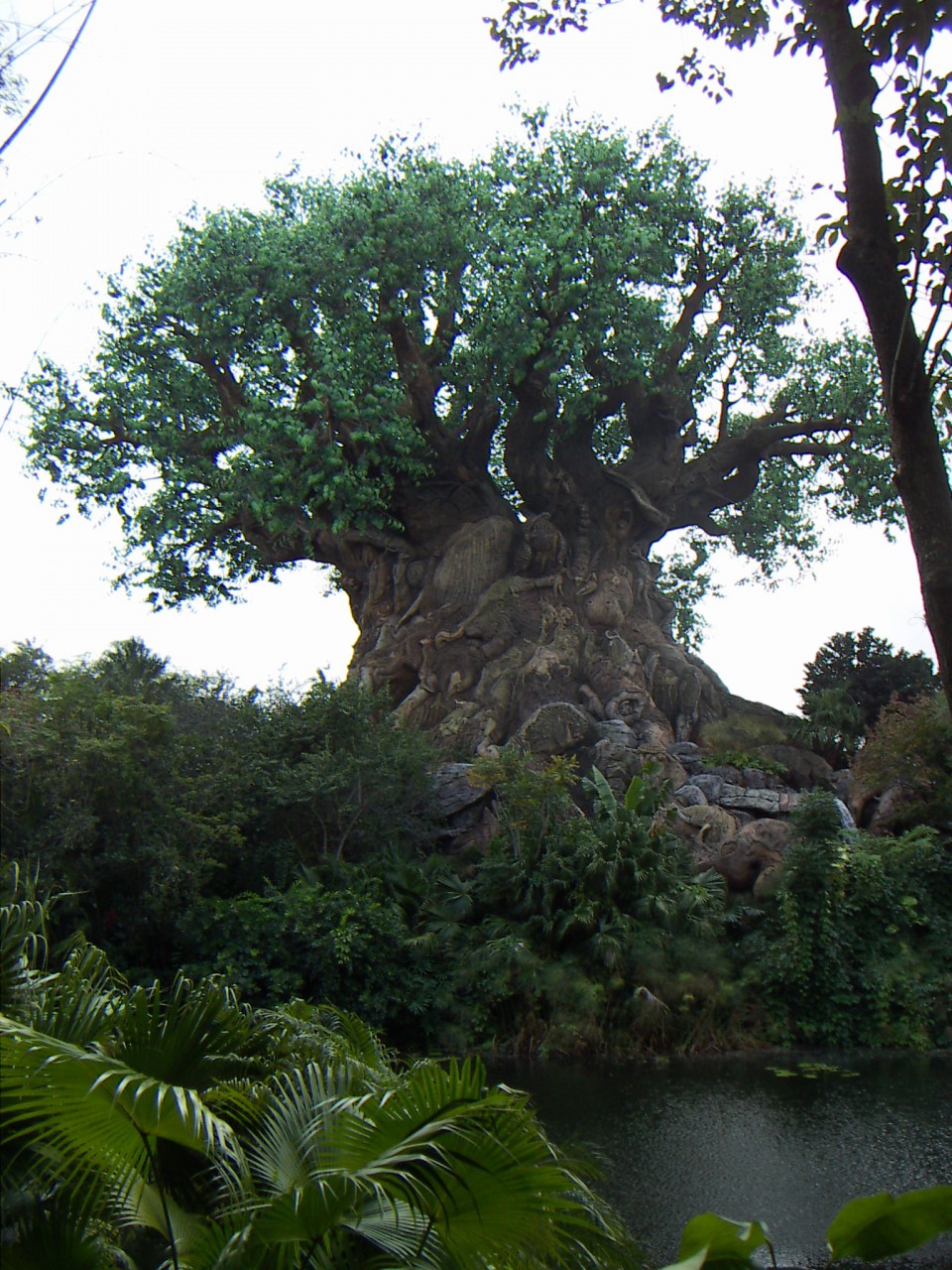 PICT0325.JPG