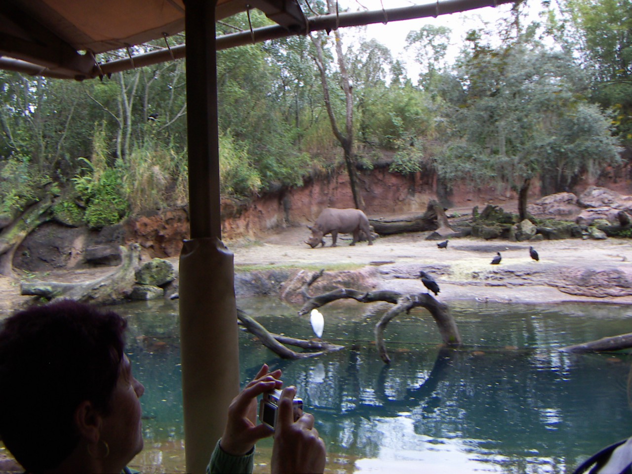 PICT0330.JPG