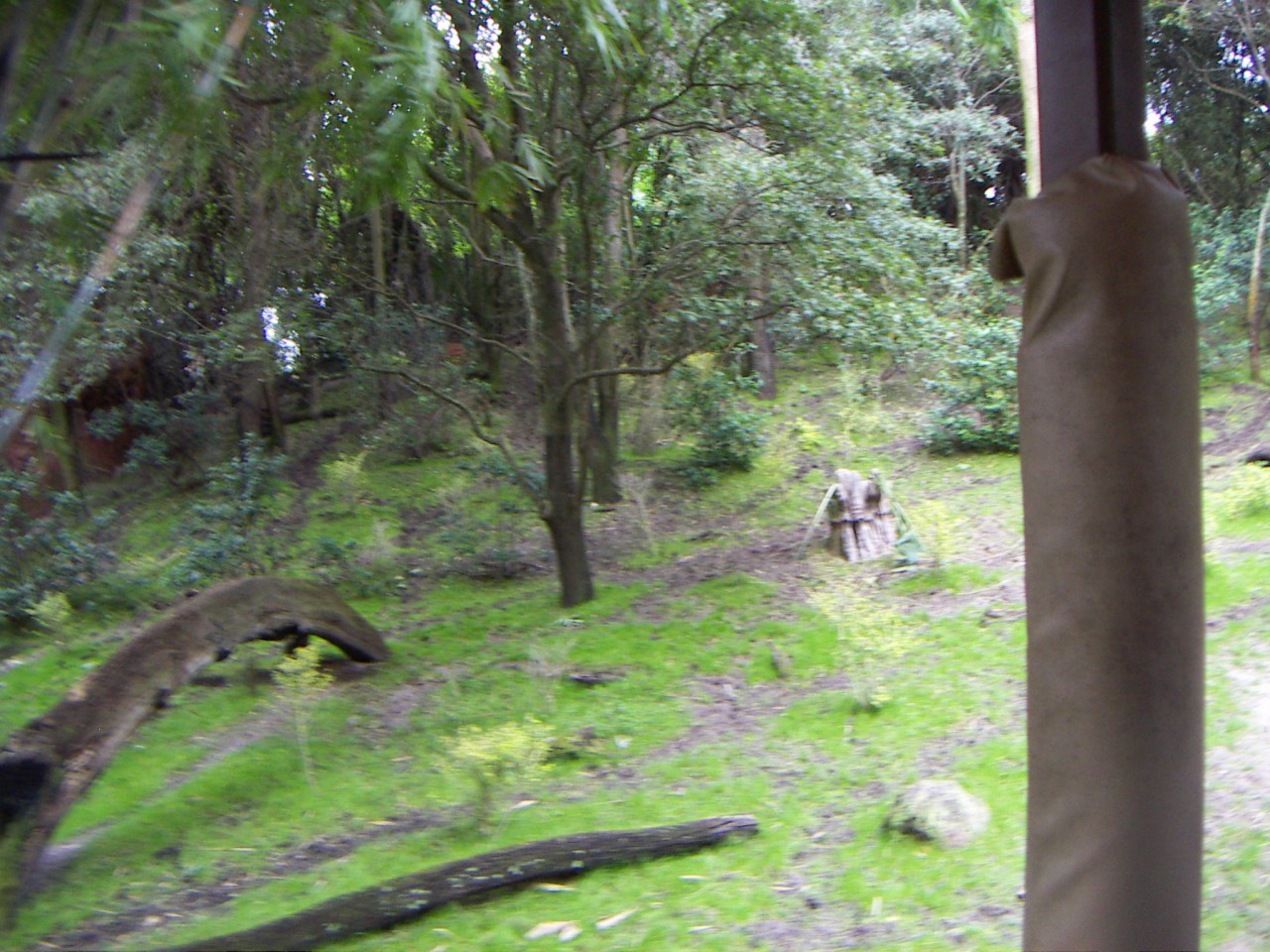 PICT0332.JPG