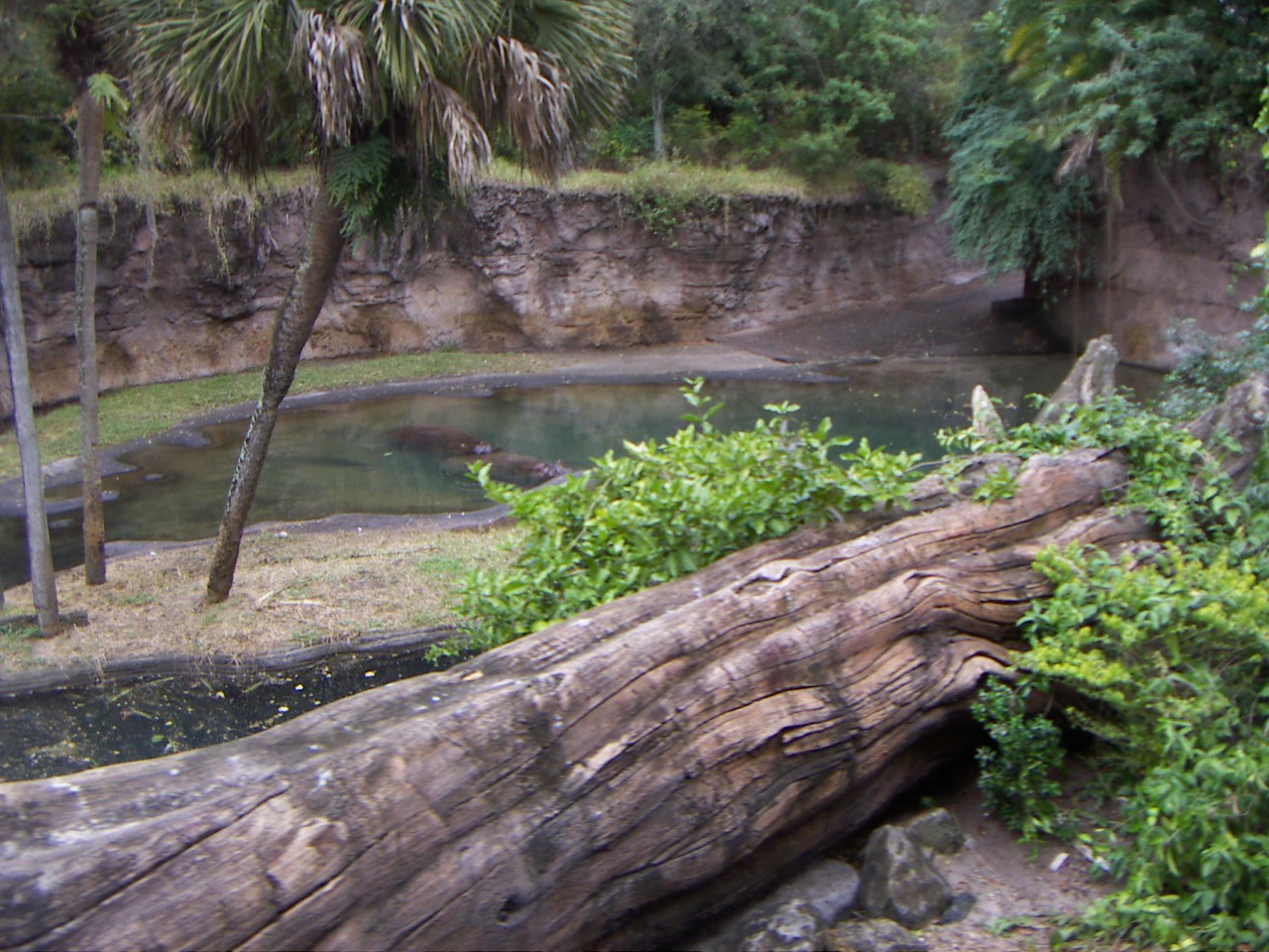 PICT0335.JPG