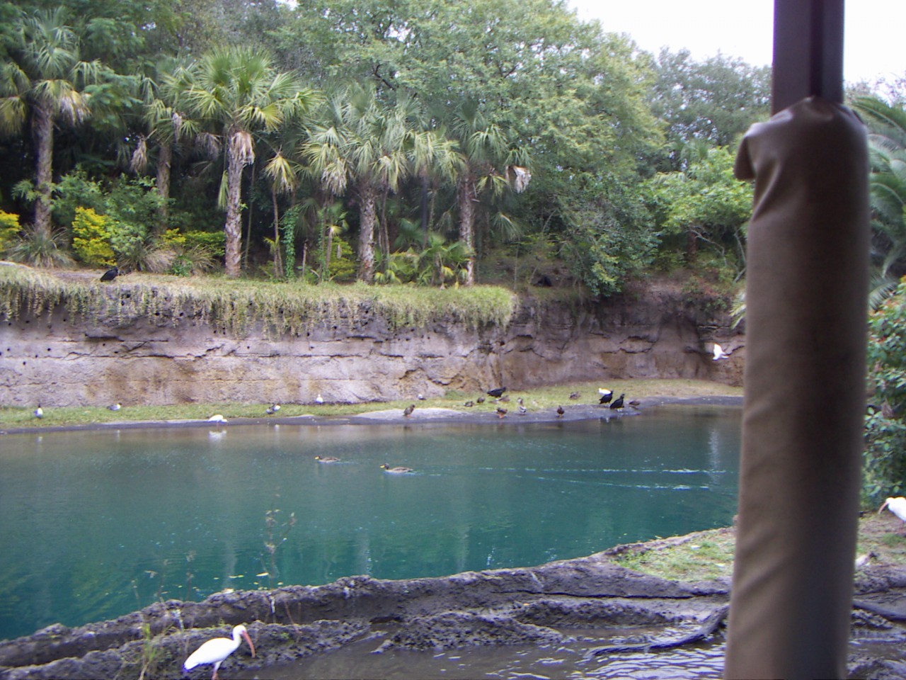 PICT0337.JPG