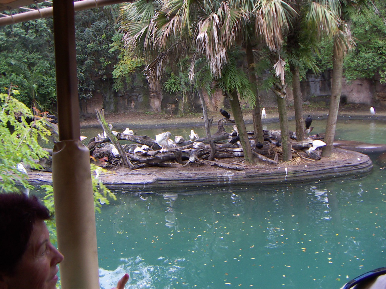 PICT0341.JPG