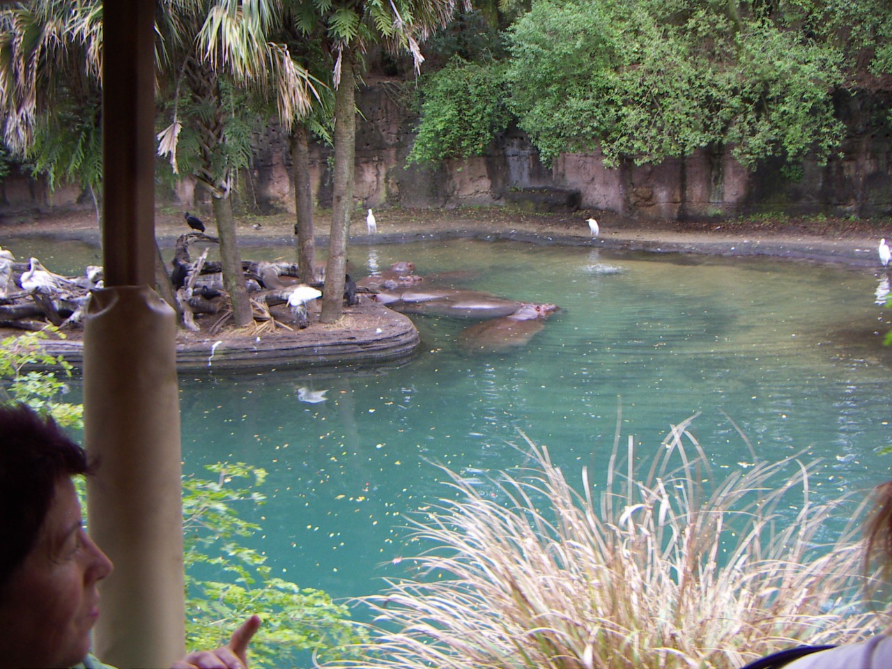 PICT0342.JPG