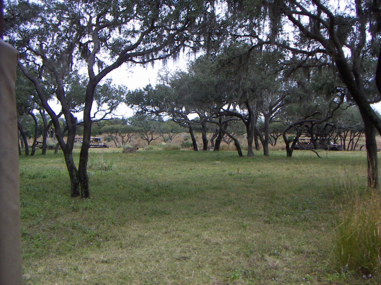 PICT0351.JPG