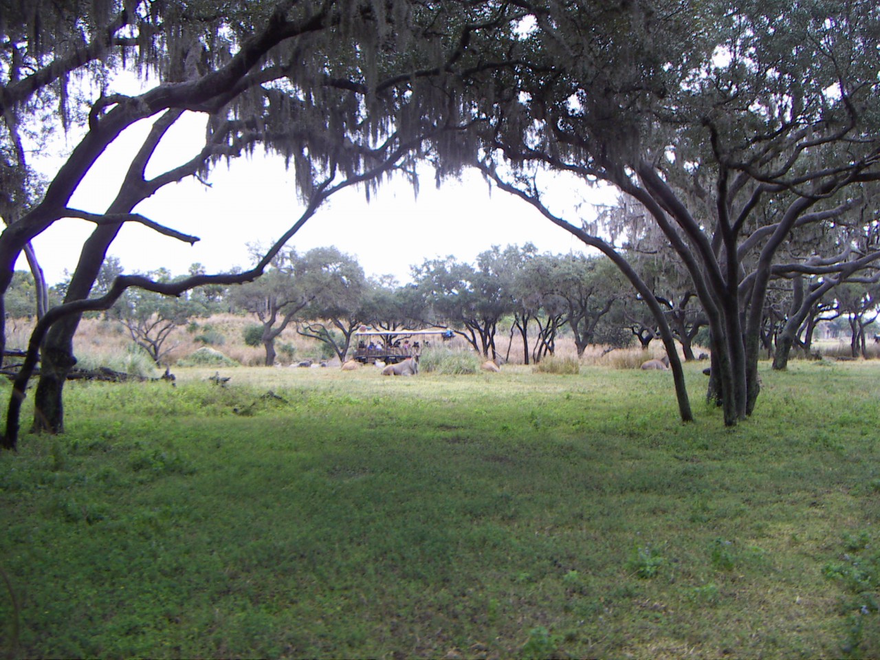 PICT0355.JPG
