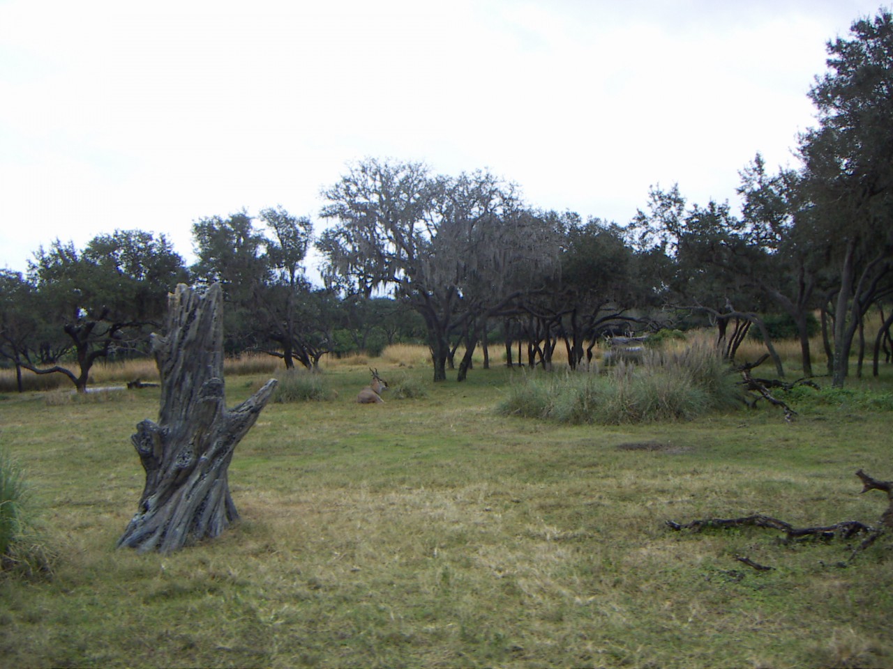 PICT0360.JPG