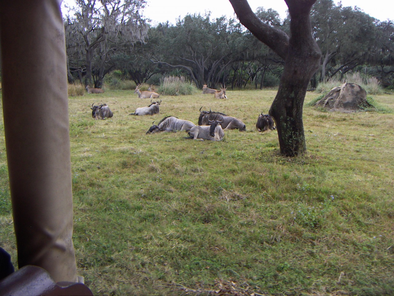 PICT0361.JPG