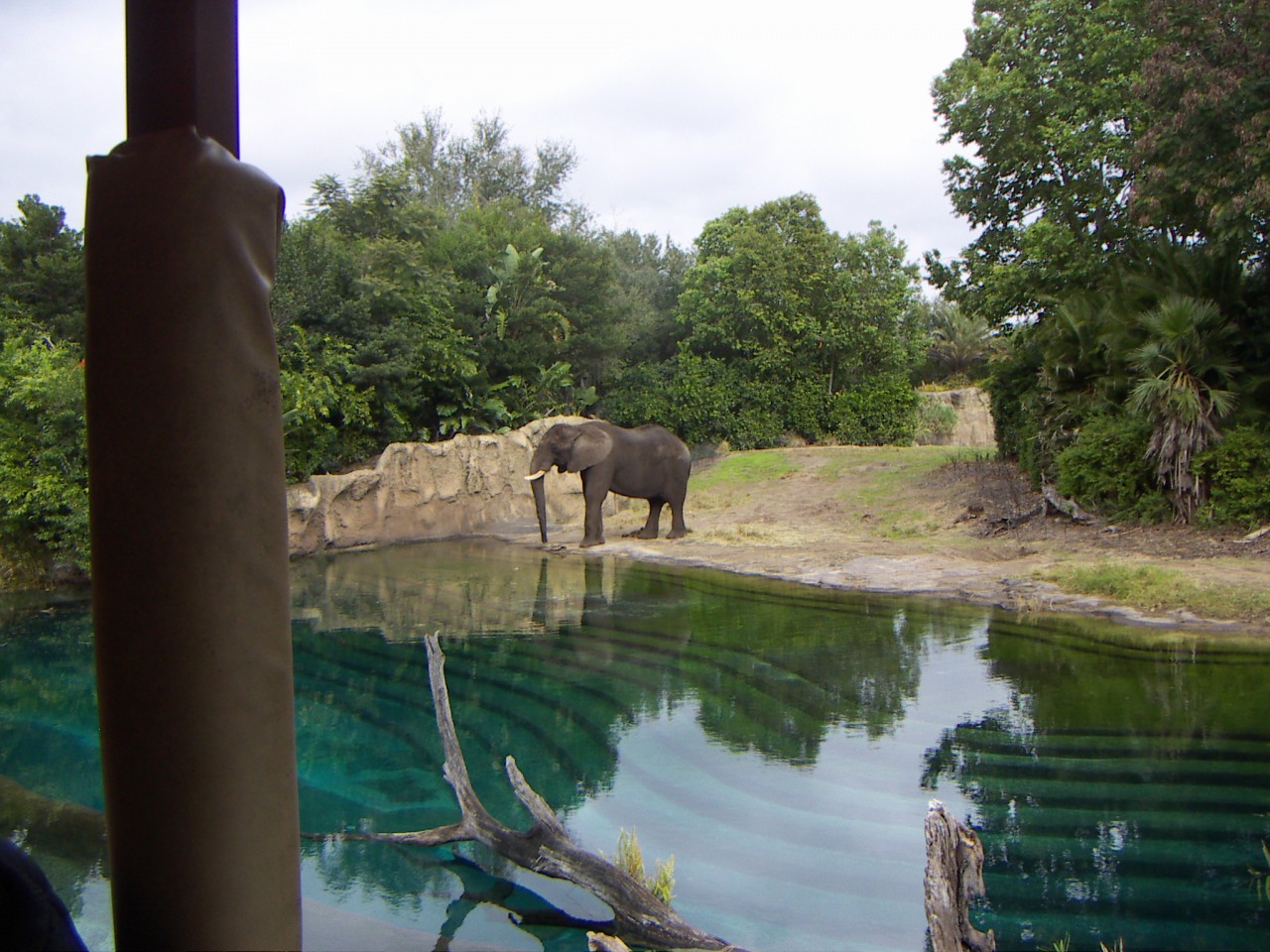 PICT0368.JPG